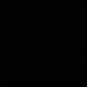 Meet your Posher, Savannah